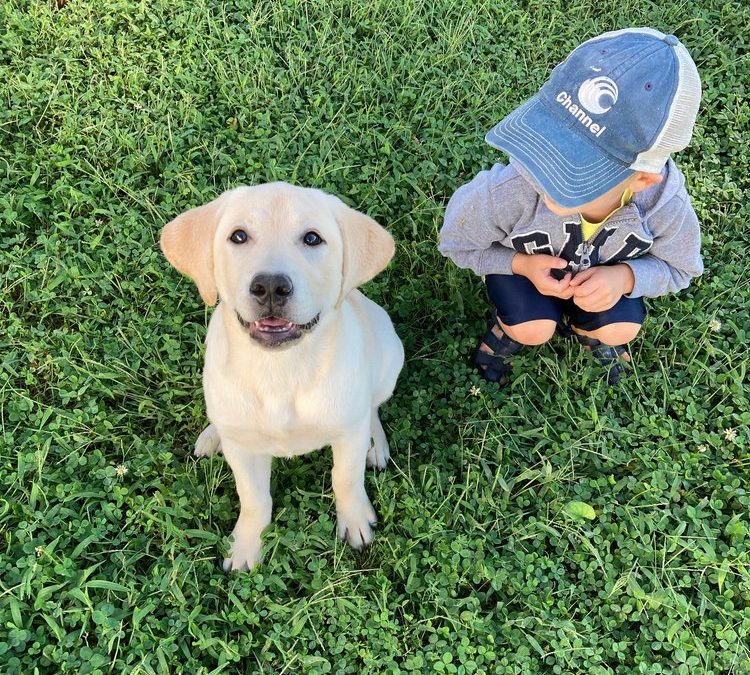 Our Experience with Kids & Puppies